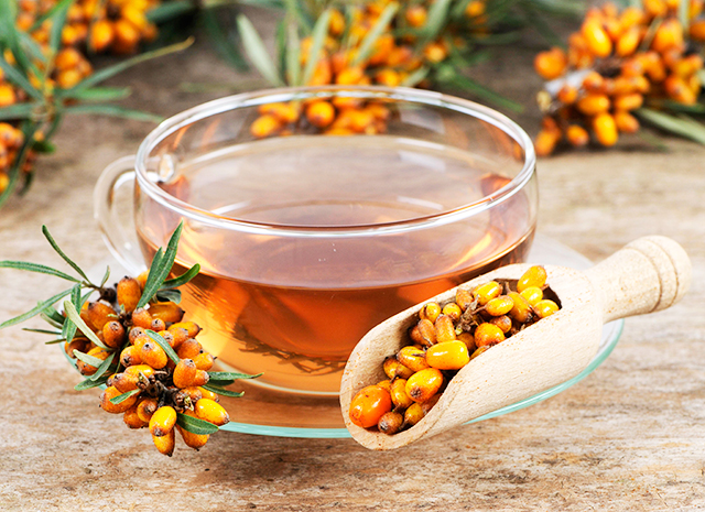 Фото - 3 рецепта согревающих напитков: чай с облепихой, черной смородиной и эвкалиптом